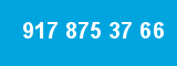 917 875 37 66